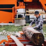 How Much Does Stump Grinding Cost in Sydney?