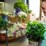 Where to Buy Fresh Flowers in Wollstonecraft with Ease