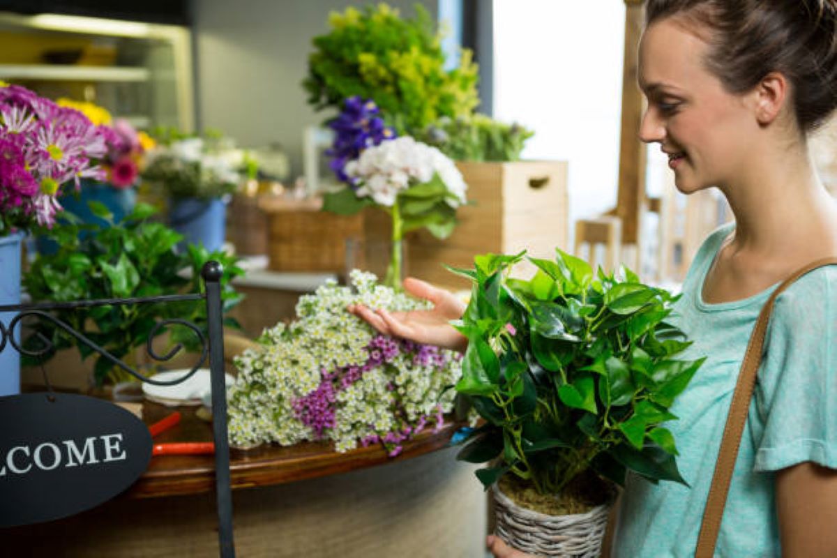 florist wollstonecraft