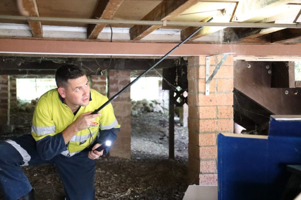 termite pest control Sydney