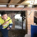 How Effective Is Termite Pest Control Sydney for Long-Term Protection?